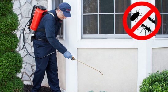 Alaçatı Kene İlaçlama böcek ilaçlama ve haşere kontrolü — ilaclama-tr.com